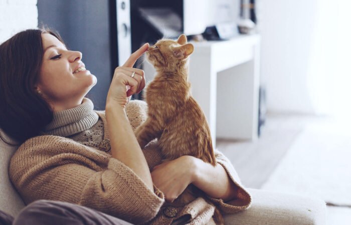 Keeping Your Pets Safe From Illness